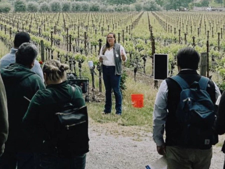Ashley Boudet leading a field training session for a group in a Napa vineyard