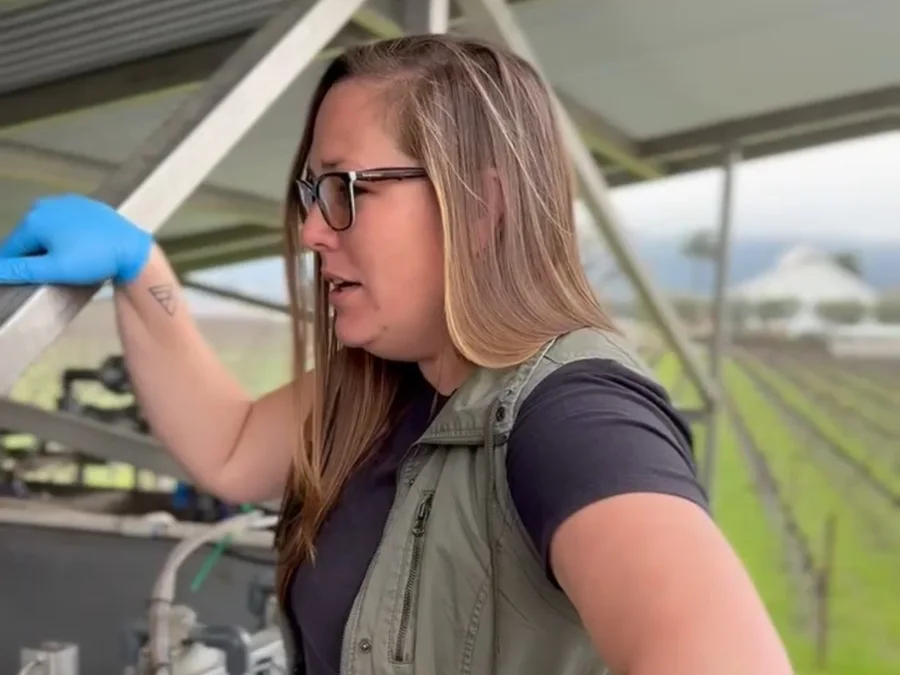 Ashley Boudet reviewing a winery wastewater treatment system