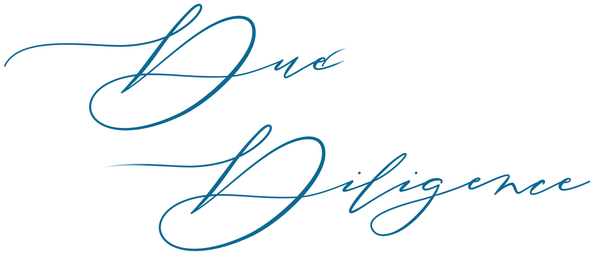 Due Diligence
